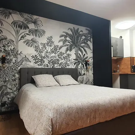 Daire Climatise Place De Jaude Garage Balcon Tv Wifi *